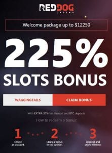 red dog casino bonus codes 2022