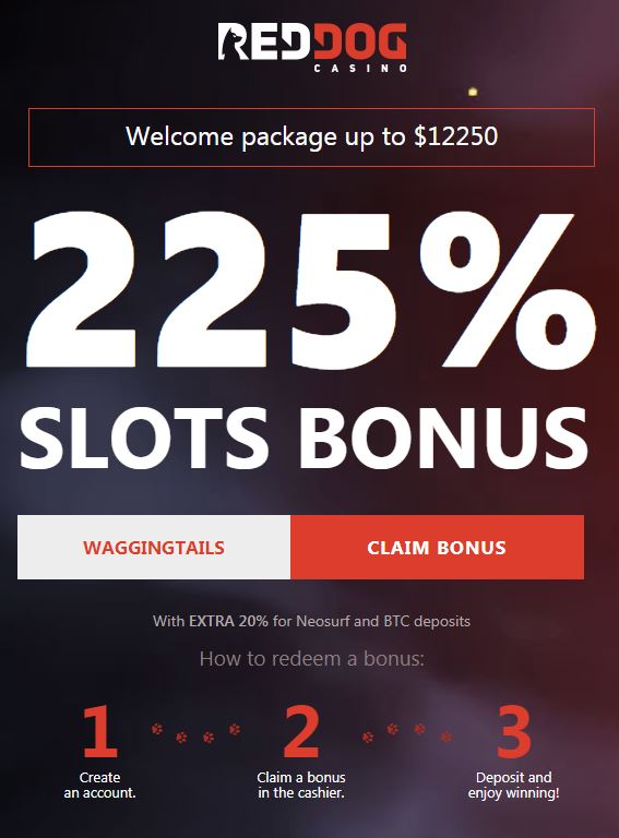 Red Dog Casino Bonus Codes 2021