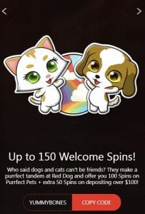 red dog casino free spins code