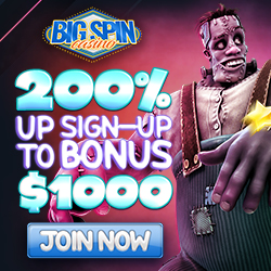 Big Spin Bonus Code