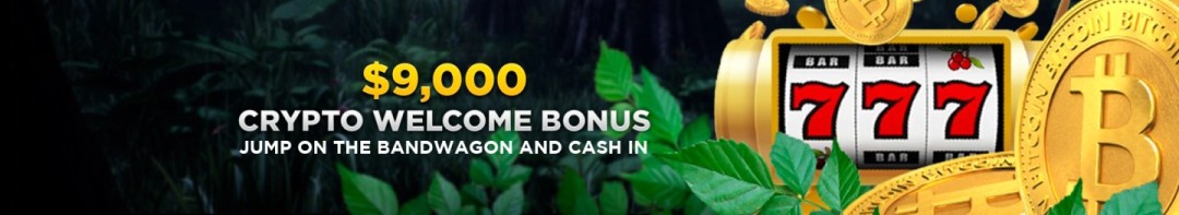 wild casino bonus codes no deposit 2022